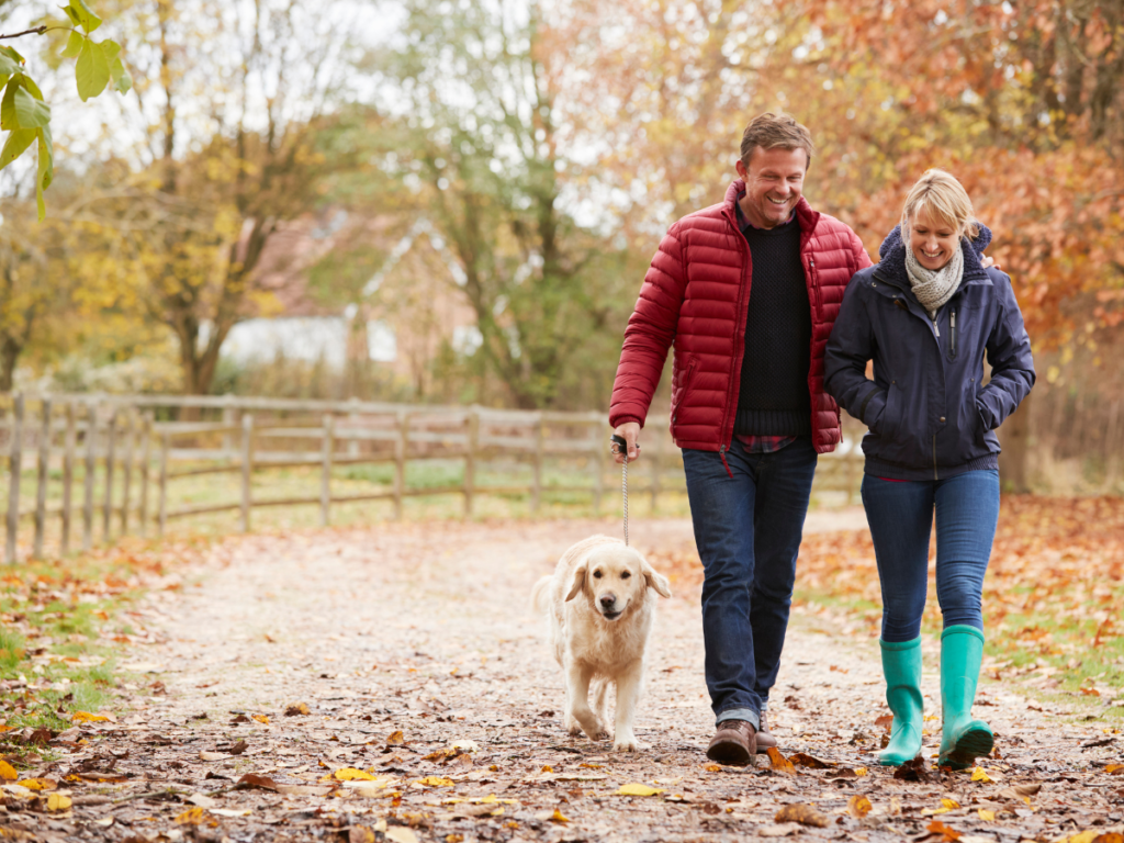 Where to wrap up this autumn: walks, parks and pubs in Bradford and surrounding areas.